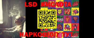 прущие грибы Краснознаменск