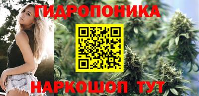прущие грибы Краснознаменск