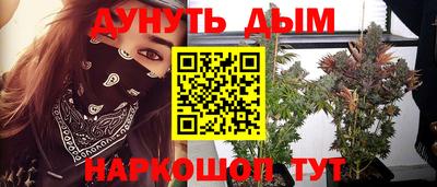 прущие грибы Краснознаменск