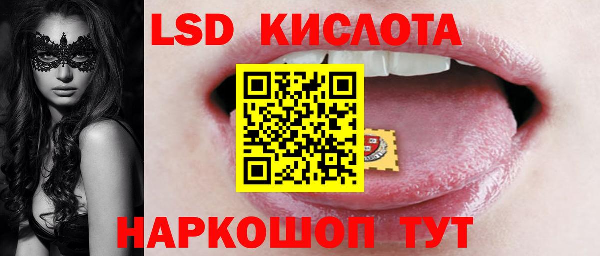 Псилоцибиновые грибы Вятские Поляны