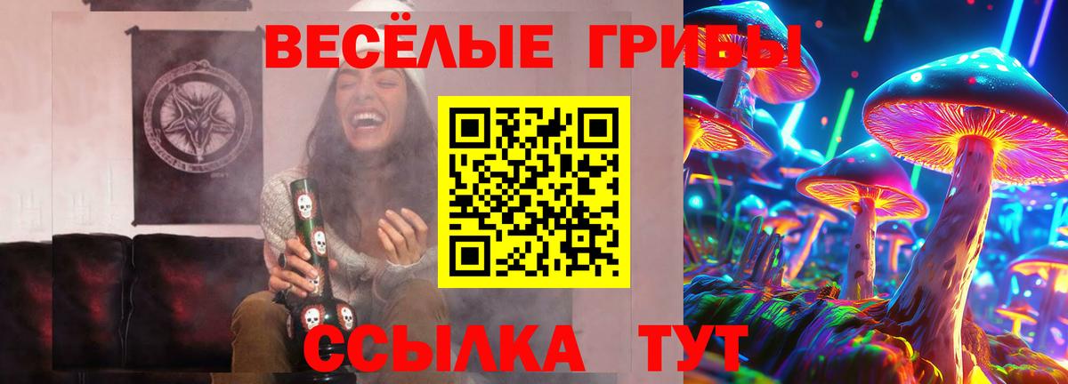 где найти   Вход с VPN  Вятские Поляны  Псилоцибиновые грибы ЛСД  Псилоцибиновые грибы Psilocybe 
